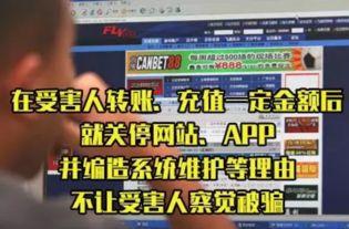 爆料王骗局揭秘视频大全,视频大全揭露真相全解析  第2张