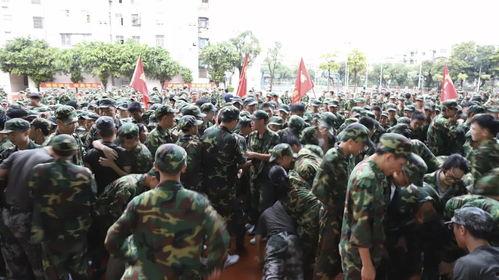 最新军训爆料新闻报道稿,揭秘校园军营生活精彩瞬间  第3张