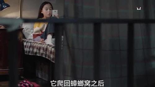 姐妹爆料完整视频在线播放,独家内容在线播放  第3张