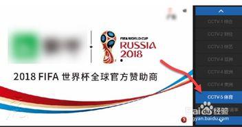 世界杯今日爆料直播回放,精彩瞬间与幕后花絮直播回顾  第2张