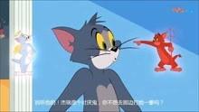 新猫新鼠爆料视频大全免费观看,免费观看，揭秘娱乐圈幕后故事  第2张