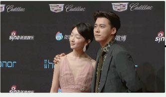 湖滨过爆料李易峰视频,揭秘明星私生活幕后真相  第3张