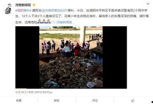 信阳学生家长爆料视频最新,揭秘校园安全问题  第1张