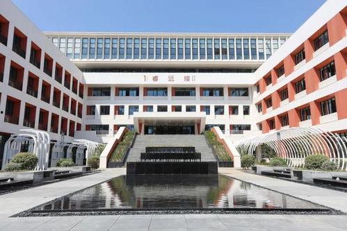 最新爆料致远中学,揭秘最新爆料背后的真相
