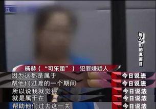 夜场套路爆料案例最新视频,最新视频案例深度剖析  第1张
