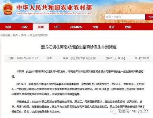 八村最新爆料消息今天新闻,揭秘今日热点新闻背后的真相！”