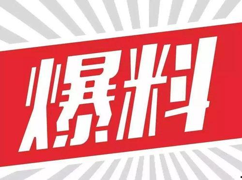 大今野牌子新闻爆料,揭秘新闻背后的真相与内幕  第3张