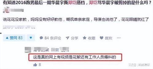 郑恺华晨宇视频爆料,揭秘娱乐圈幕后故事  第3张