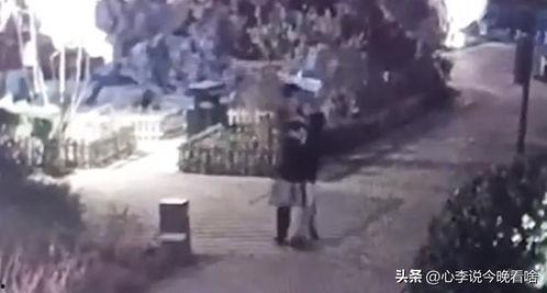 兰州老街吃瓜视频全集免费,免费观看吃瓜视频全集，尽享地道美食之旅
