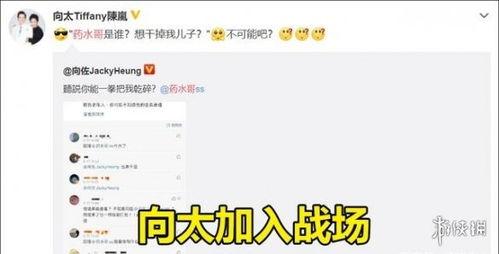 水哥爆料截图视频大全下载,视频大全下载背后的秘密与技巧  第2张