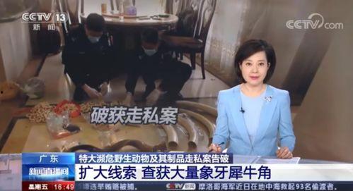 超哥爆料现场图片大全视频,图片大全视频背后的精彩瞬间  第3张