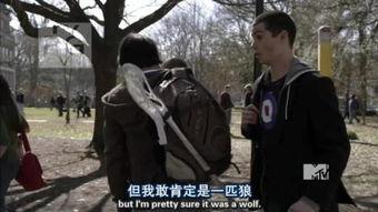少狼第三季在线观看,青春校园的奇幻冒险再续篇章  第2张 少狼第三季在线观看,青春校园的奇幻冒险再续篇章  第2张