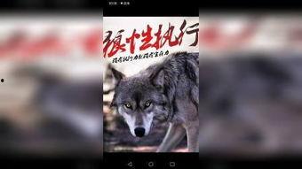 少狼第三季在线观看,青春校园的奇幻冒险再续篇章  第3张 少狼第三季在线观看,青春校园的奇幻冒险再续篇章  第3张