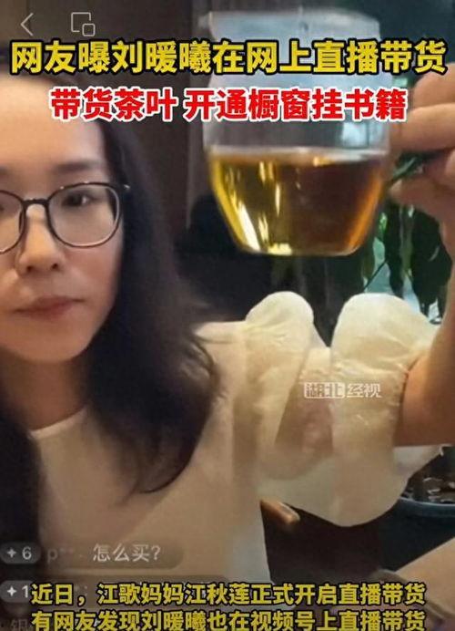 刘大嘴最新爆料直播视频,最新爆料视频深度解析  第2张