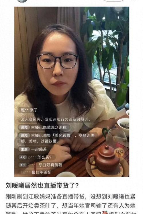 刘大嘴最新爆料直播视频,最新爆料视频深度解析  第3张
