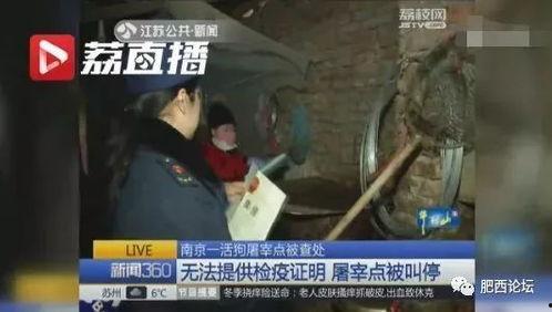 屠宰最新爆料新闻,屠宰行业惊人内幕曝光,监管漏洞亟待填补