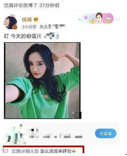 娱乐吃瓜八卦图片表情包,吃瓜群众眼中的明星表情包大赏  第3张