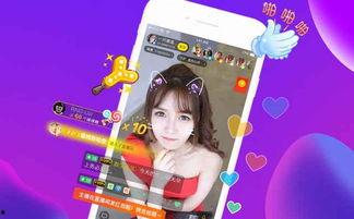 保定宠物店爆料视频播放,揭露行业黑幕  第3张