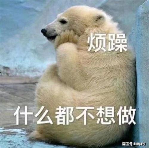 吃瓜群众免费图片高清,揭秘吃瓜群众免费高清图片背后的故事  第3张 吃瓜群众免费图片高清,揭秘吃瓜群众免费高清图片背后的故事  第3张