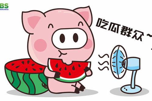 娱乐吃瓜说,吃瓜群众背后的故事  第1张 娱乐吃瓜说,吃瓜群众背后的故事  第1张