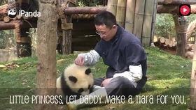 加菲最新爆料视频大全,揭秘娱乐圈幕后真相  第2张 加菲最新爆料视频大全,揭秘娱乐圈幕后真相  第2张