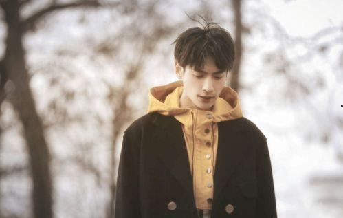 罗云熙最新娱乐爆料,娱乐爆料揭秘他的最新生活点滴