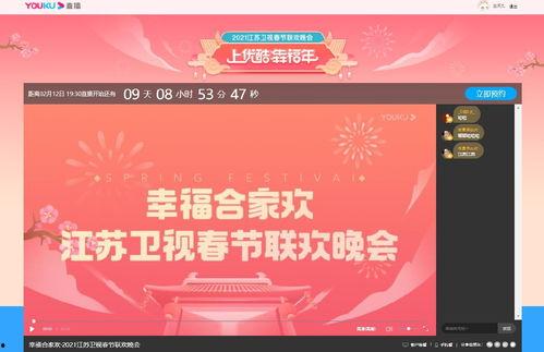 在线江苏卫视直播观看,现场直击，不容错过的精彩瞬间  第3张