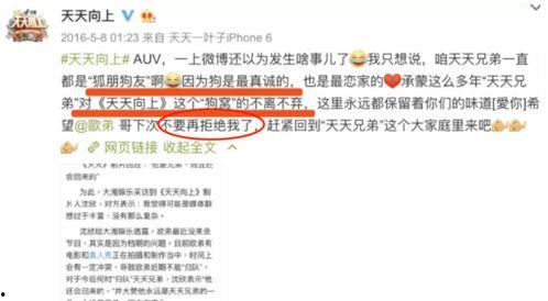 娱乐圈爆料几百页,数百页秘闻揭秘，明星幕后真相大曝光