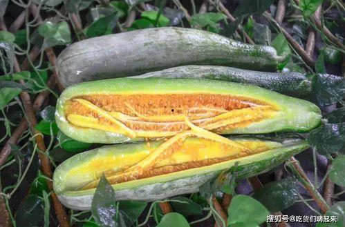 吃瓜的康县网红,揭秘网络红人的魅力与争议