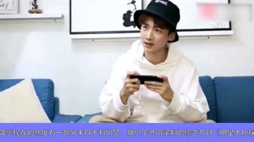 娱乐圈吃瓜白敬亭,娱乐圈吃瓜达人，揭秘明星幕后故事  第3张