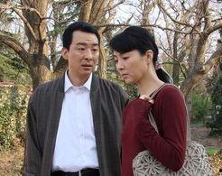 母亲的战争电视剧全集在线观看  第2张