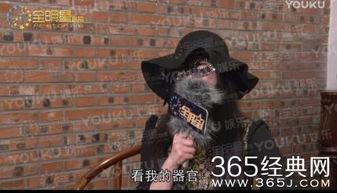 赵四爆料全部视频 第2张 赵四爆料全部视频 第2张