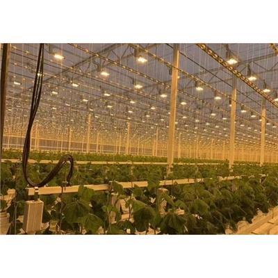 热点大棚爆料视频大全集,揭秘农业科技前沿与产业变革