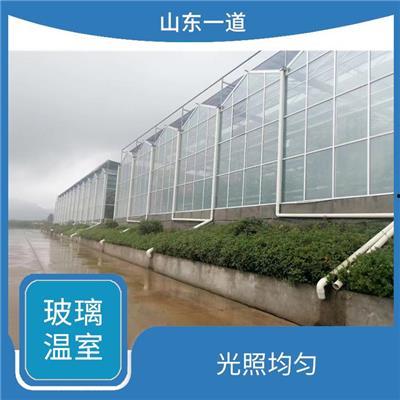 热点大棚爆料视频大全集,揭秘农业科技前沿与产业变革  第3张