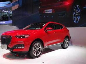 哈佛最新爆料消息,揭秘学术界的惊人内幕