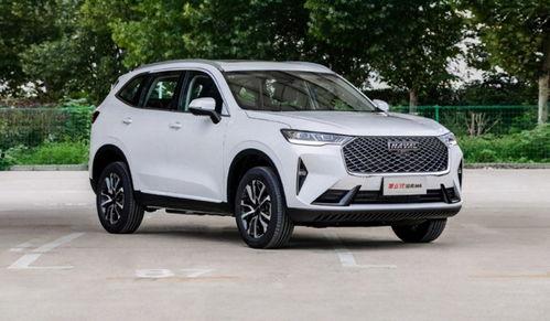 哈佛最新爆料消息,揭秘学术界的惊人内幕  第3张