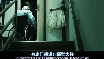 娱乐爆料黑手,揭秘明星隐私泄露真相  第2张