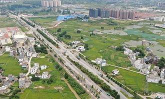 桂平最新爆料新闻视频,视频揭露惊人内幕，真相令人震惊！