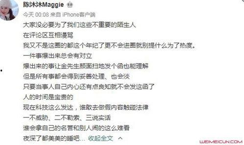 金圣恩最新爆料消息,揭秘娱乐圈惊人内幕