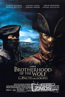 狼族盟约电影在线观看,揭秘神秘狼族世界的惊心动魄之旅 第2张 狼族盟约电影在线观看,揭秘神秘狼族世界的惊心动魄之旅 第2张