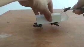 酒桌爆料游戏大全视频,揭秘游戏大全视频中的趣味瞬间