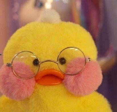 娱乐吃瓜鸭男人品种,吃瓜鸭视角下的男人品种大揭秘 第2张 娱乐吃瓜鸭男人品种,吃瓜鸭视角下的男人品种大揭秘 第2张