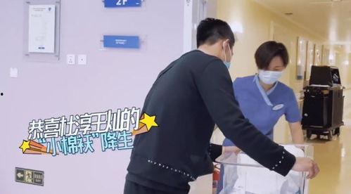 杜淳老婆爆料视频大全