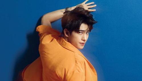 娱乐爆料迪丽热巴杨洋,娱乐爆料引粉丝热议 第2张 娱乐爆料迪丽热巴杨洋,娱乐爆料引粉丝热议 第2张